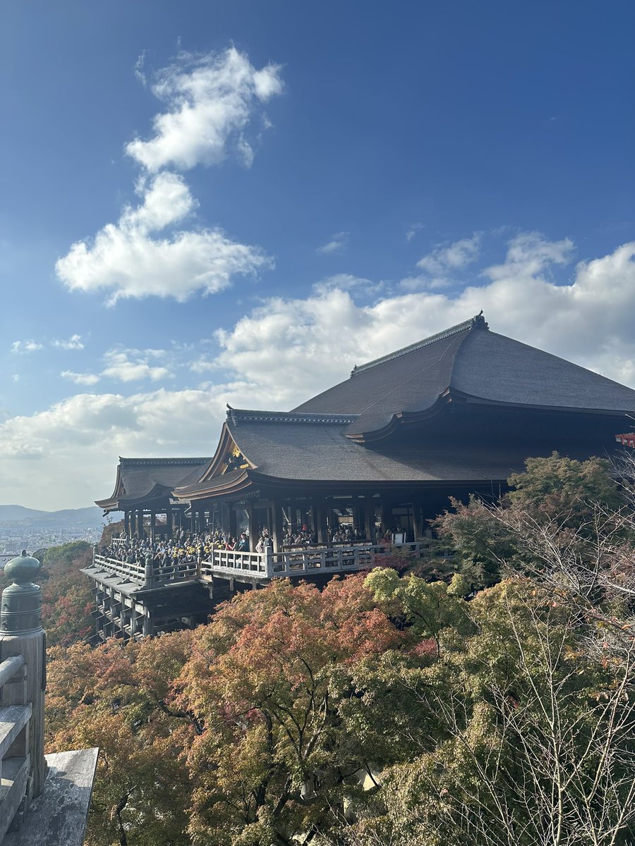 kakipp_11's tweet image. ぬふふん