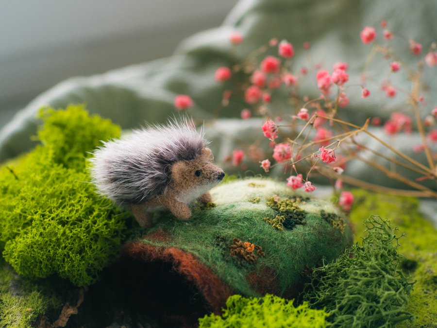 flying_hedgehog's tweet photo. ✨Маленький ёжик ищет хозяина! 
Что примечательно, на этот раз ëжик приедет к вам вместе со своим жилищем - уютной шерстяной норкой, в которой так приятно пережидать холодные зимние вечера. 
🔸Ёжик в длину примерно 5 см, сделан из шерсти с любовью и заботой🧡 Цена: 2500+доставка. https://t.co/9Fdg9bZQOR