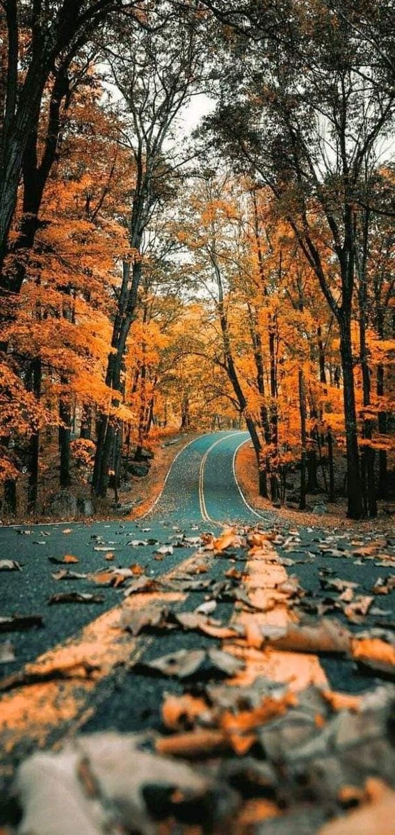 World Click (@worldclick56) on Twitter photo 