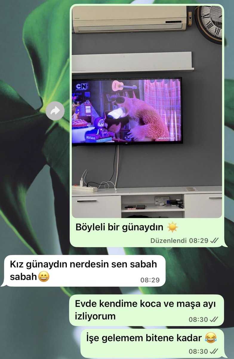 Sultan (@sultanntuguc) on Twitter photo 