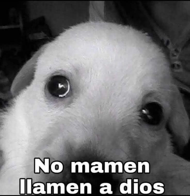 <a href="/zEduardh/">Eduh </a>