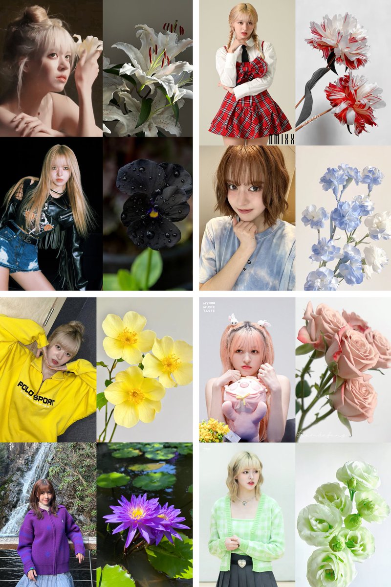 13shyshy's tweet photo. the flower💐💓
#LILY    #릴리 https://t.co/OPrqpaIBAz