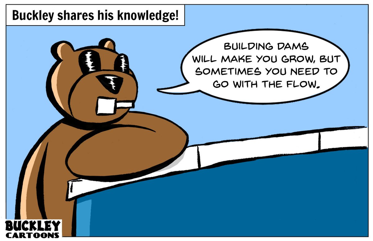 BuckleyCartoons's tweet image. #Sharing #Knowledge #Grow #Flow #Cartoon #Beaver