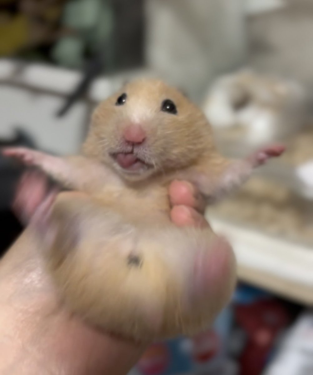 これがAIじゃないなんて信じられないんですよ。