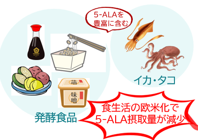 KiyanPharma's tweet image. あら元気！
日本人が古来から食べてきた発酵食品や、イカ・タコなどには5-ALAが含まれています。
近年は食生活の変化で発酵食品の消費量が少なくなりがちですが、いまは5-ALAサプリがあるので手軽に補給できますね🍀
#あら元気 #5ALA #発酵食品 #イカ #タコ