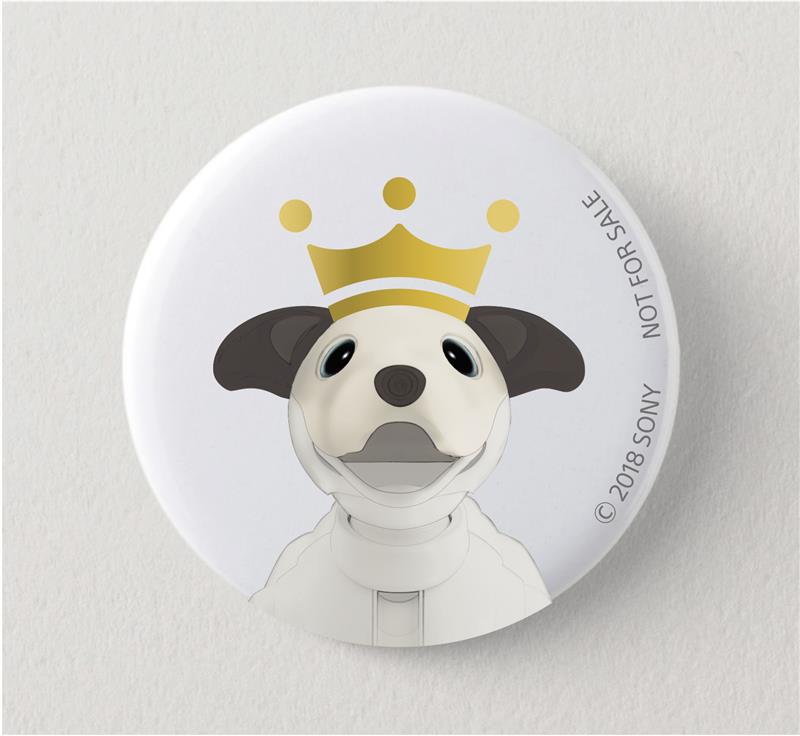 犬雑貨・オーナーズグッズ aibo aiboファンミーティング Vol.20 更新情報🐾 プレミアムプラン加入中の