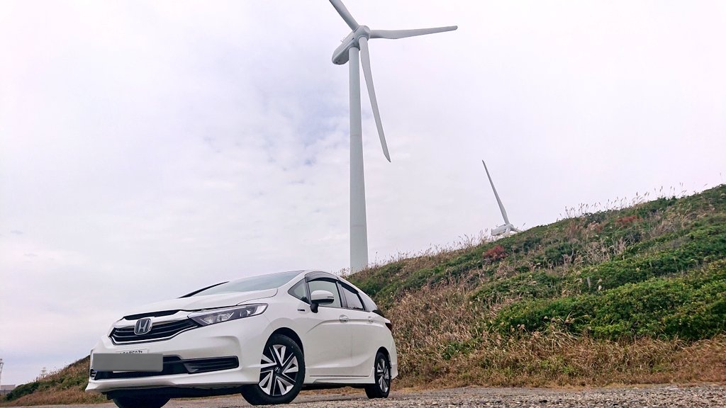 ふじぴー tweet media