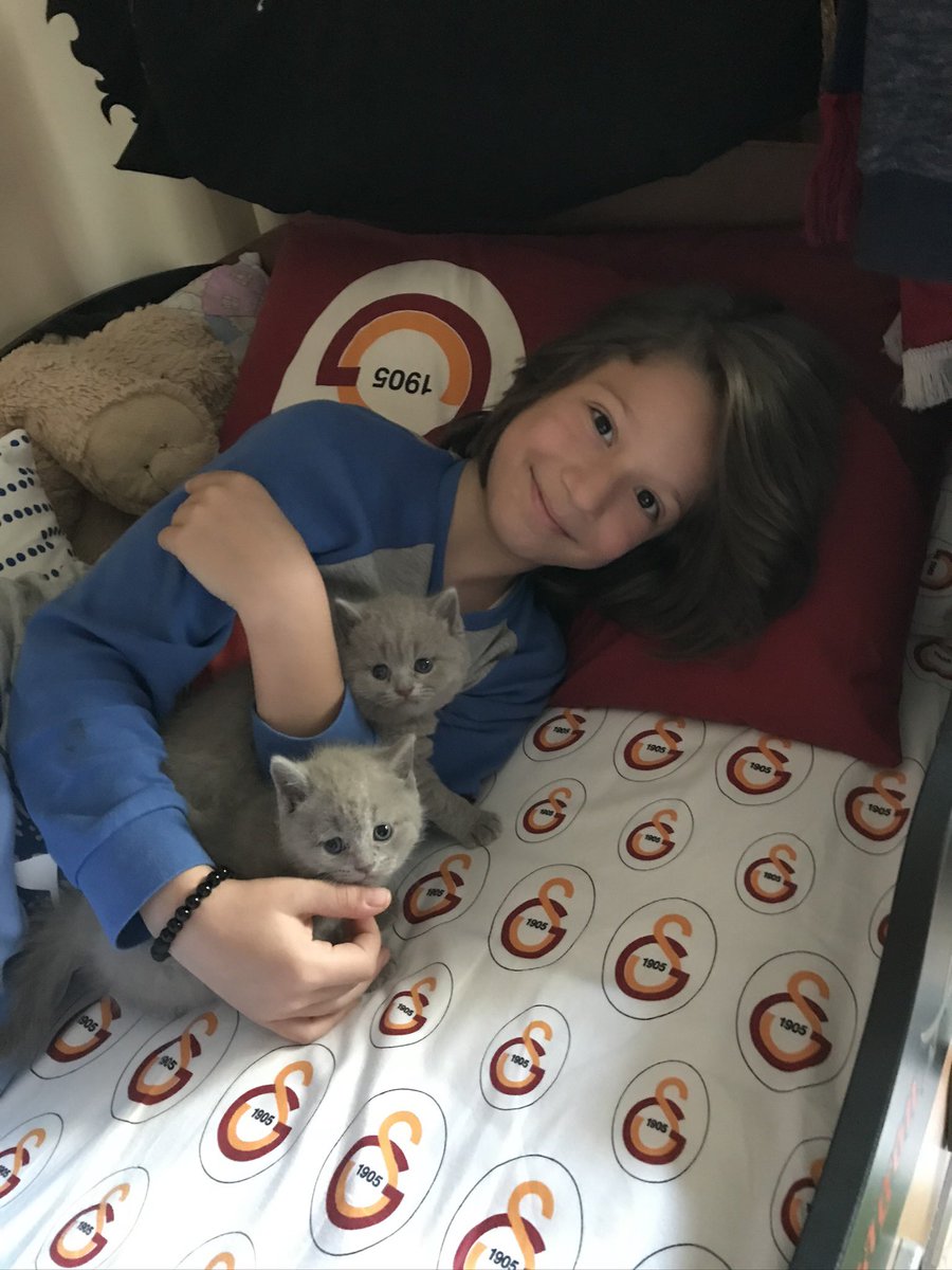 Bu çocuğun adı #OğuzArdaSel❗️

8 Temmuz #CorluTrenKatliamı nda öldürüldü!

Bugün 2680 gün oldu.
Adaleti tam sağlanamadı!

Adını da yüzünü de iyi EZBERLE!

<a href="/TCDDemiryollari/">TCDD-Türkiye Cumhuriyeti Devlet Demiryolları 🇹🇷</a> <a href="/TCDDTasimacilik/">TCDD Taşımacılık</a> <a href="/UABakanligi/">T.C. Ulaştırma ve Altyapı Bakanlığı</a> <a href="/BY/">Binali Yıldırım</a> <a href="/ahmetarslan36/">Ahmet ARSLAN</a> <a href="/Mcahidturhan/">Mehmet Cahit Turhan</a> <a href="/akaraismailoglu/">Adil Karaismailoğlu</a> <a href="/adalet_bakanlik/">T.C. Adalet Bakanlığı</a> <a href="/RTErdogan/">Recep Tayyip Erdoğan</a>