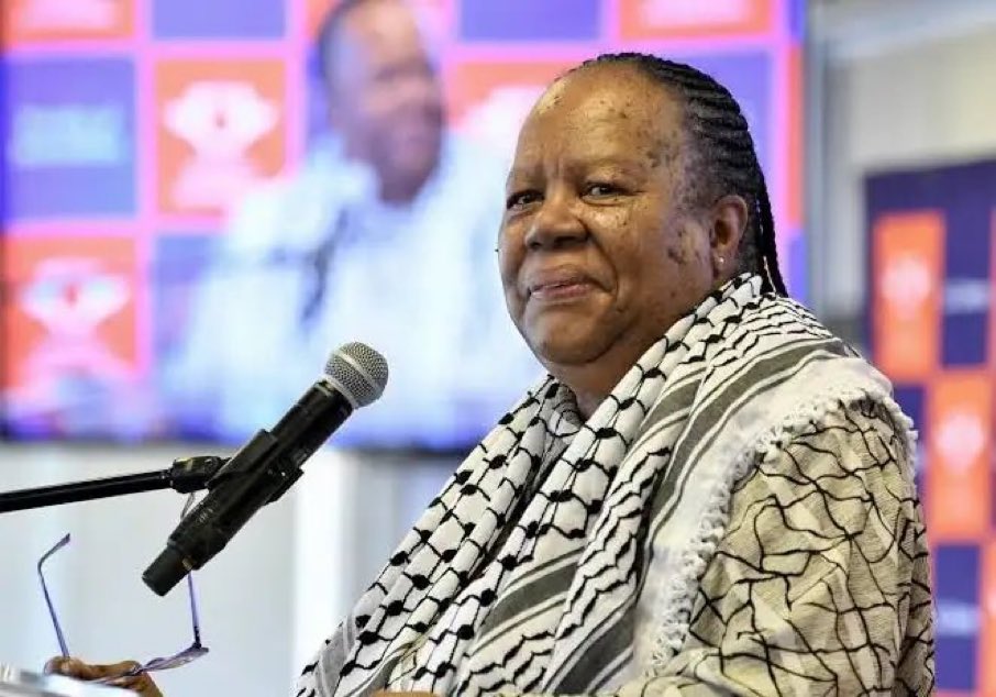 Remember the face! She is one of the reasons, those Palestinians refugees are in South Africa!

These are the same People who participate in racial discrimination, they enjoy it when Whites and Blacks are at war. Because keeping the majority angry, is what secures them votes! We