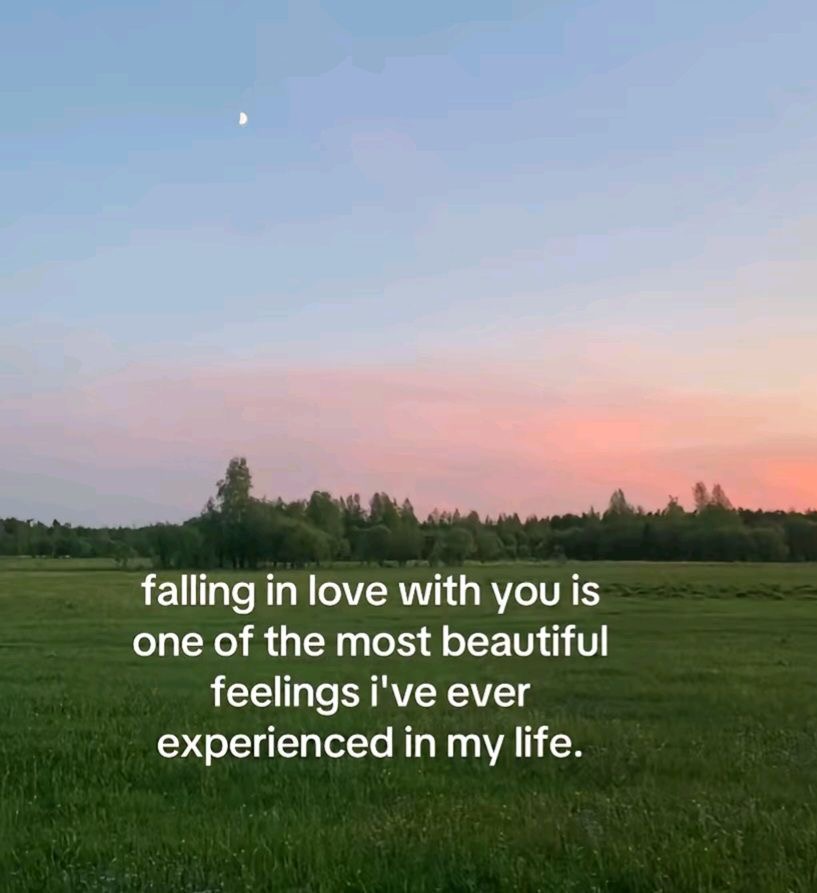 _mymsg's tweet image. 