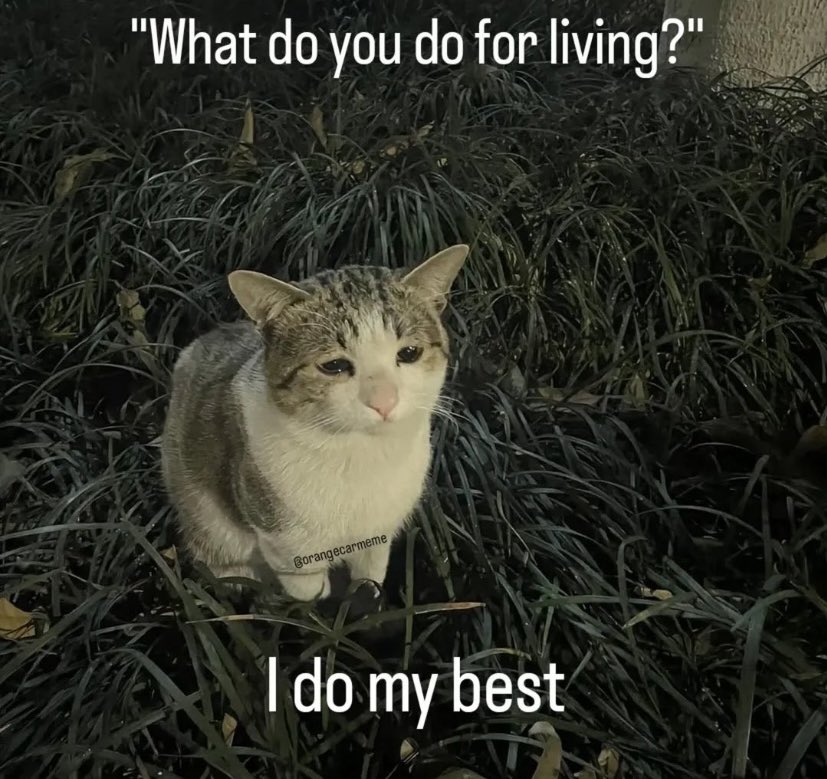 Zeo (@zeokatt) on Twitter photo 