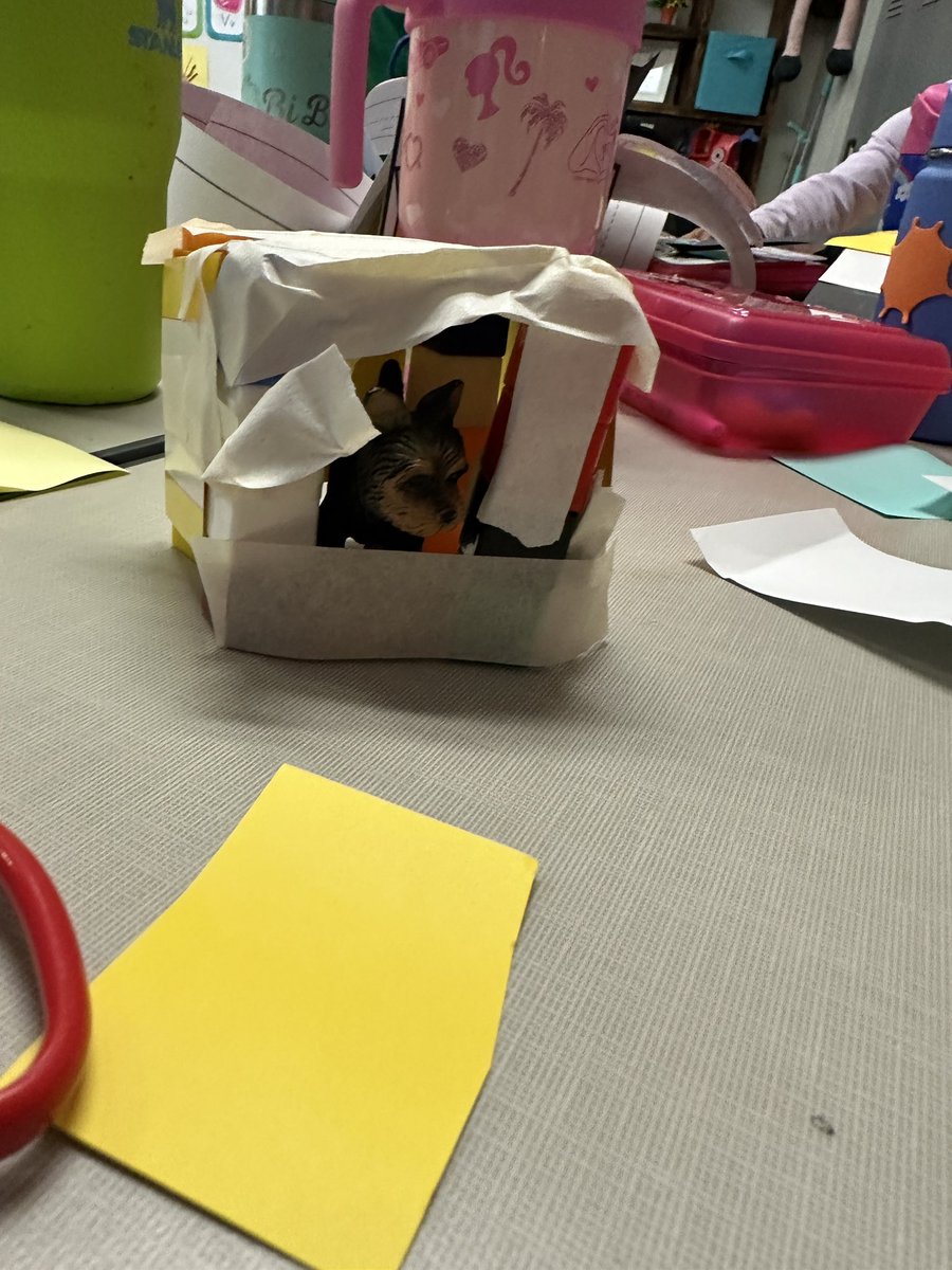 Mrs. Esch tweet media