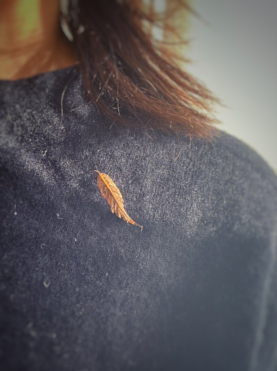 atelierLIB's tweet image. 散歩から帰ったら
落ち葉のブローチが着いていた🍂
