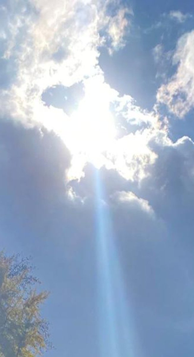 Umudum belki'lerde saklı.

Neyse'lerim ve keşke'lerime boşveremem 
En değerli tecrübelerim,

 İyi ki'lerim hepsini şefkatle sarıp sarmalar.

#Gün huzura ☕️🦅🐞
#Cuma