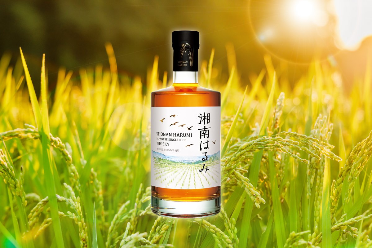 久米仙酒造【公式】 (@kumesen01) / Posts / X