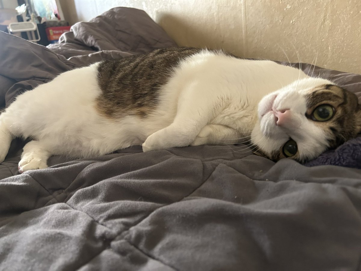 얘를 두고 출근해야하는 아픔