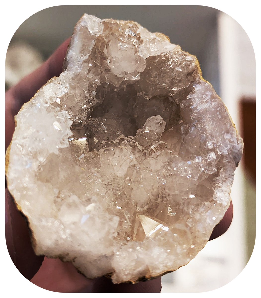 ちっちゃいのいっぱいはえててかわいい 