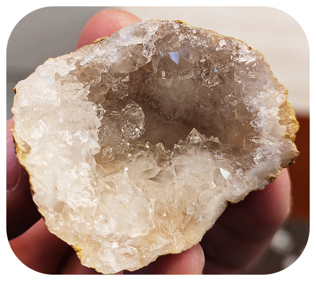 ちっちゃいのいっぱいはえててかわいい 