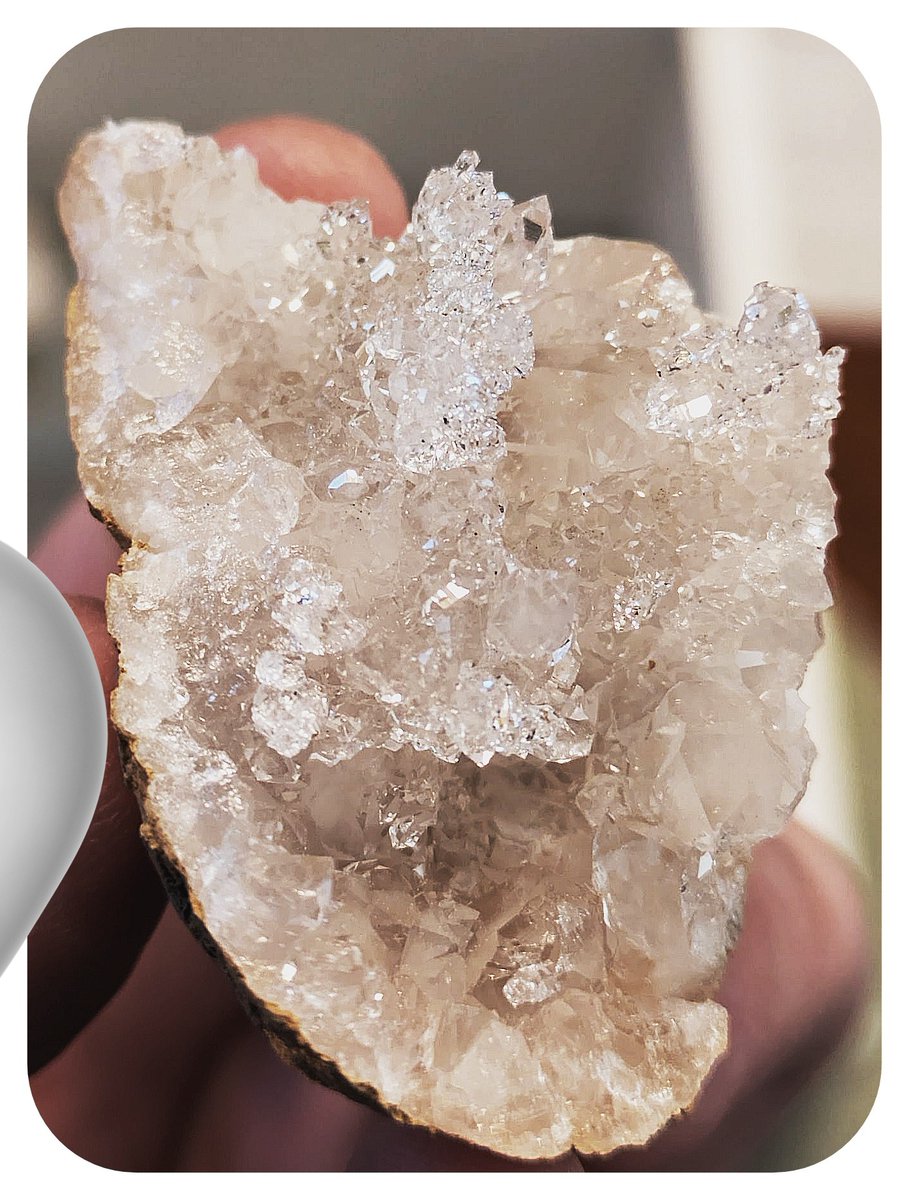 ちっちゃいのいっぱいはえててかわいい 