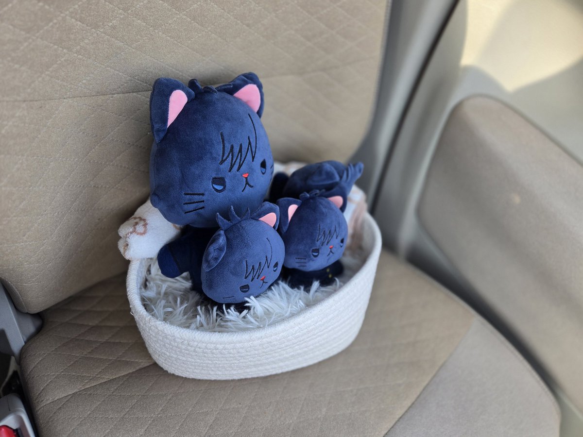 みーちゃん様確認用 このままつれてきちゃった🥹ｷｬﾅ~ｻﾞﾜに向かうよ！