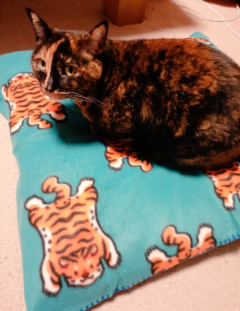 はるるん (@RNPrJ9xfX3PSoaA) / Posts / X