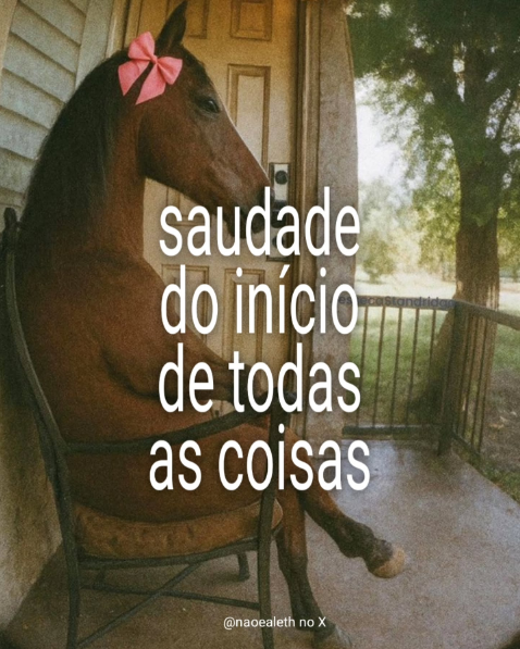 perfil dedicado a gatinhos e peitos tweet media