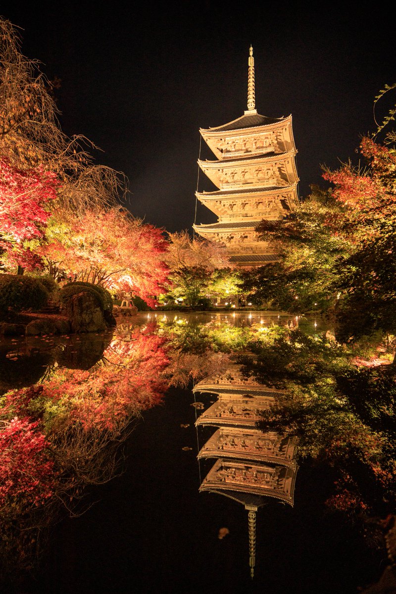 rimaphoto's tweet image. 東寺の紅葉リフレクション