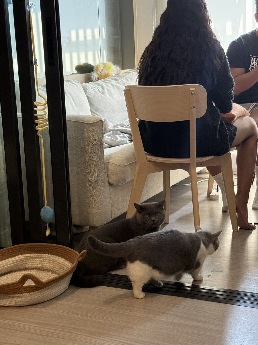 meenaxrina's tweet image. 🫡 #มีนเบ้บ