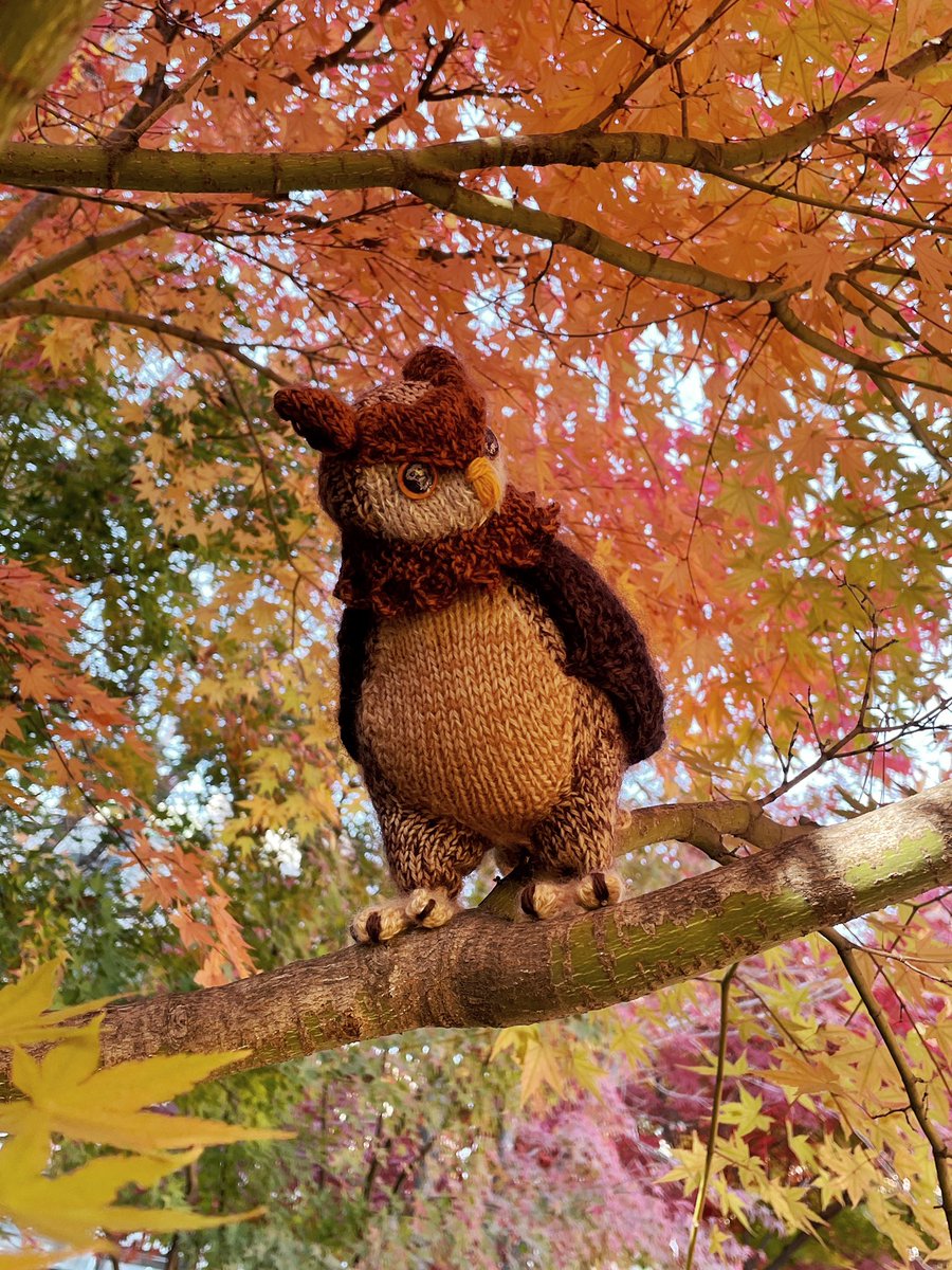 [🦉Pattern release day 🧡 RT 이벤트]
25.11.17 19:00발표/ 랜덤도안 3인 증정

부엉이/올빼미 도안을 공개합니다.
머리깃이 있는 버전과 없는 버전 두 가지 스타일로 만들 수 있습니다. 목 부분은 단추조인트 구조로, 머리를 360도로 회전시킬 수 있습니다.

pattern 👉naver.me/5A3gdu8d