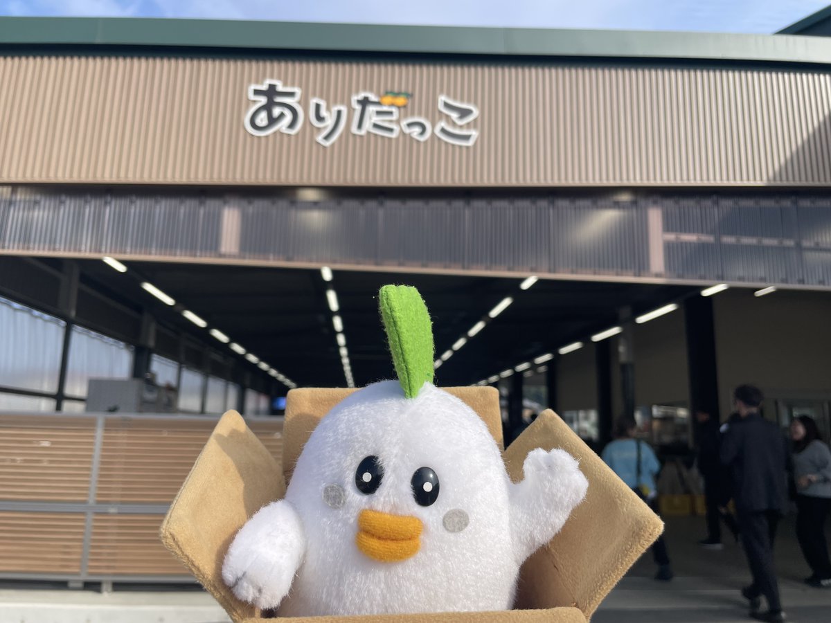 まいまい🍀 (@maimai1215s) / Posts / X