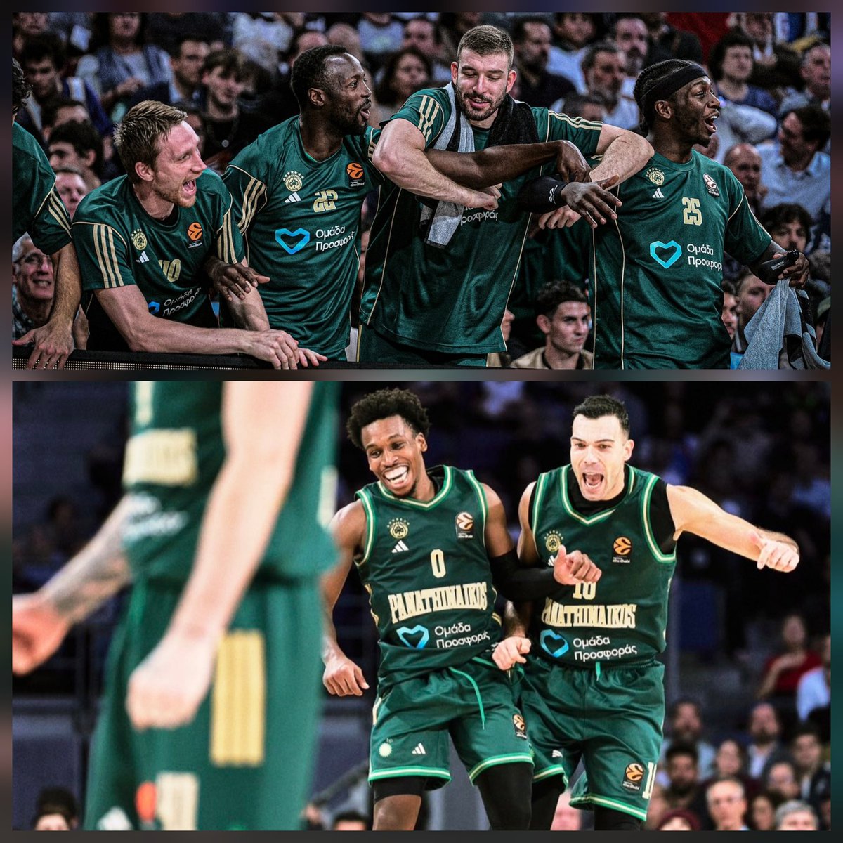 Καλημέρα από το ξενερωμένο συνονθύλευμα του Παναθηναϊκού. ☘️

#paobc