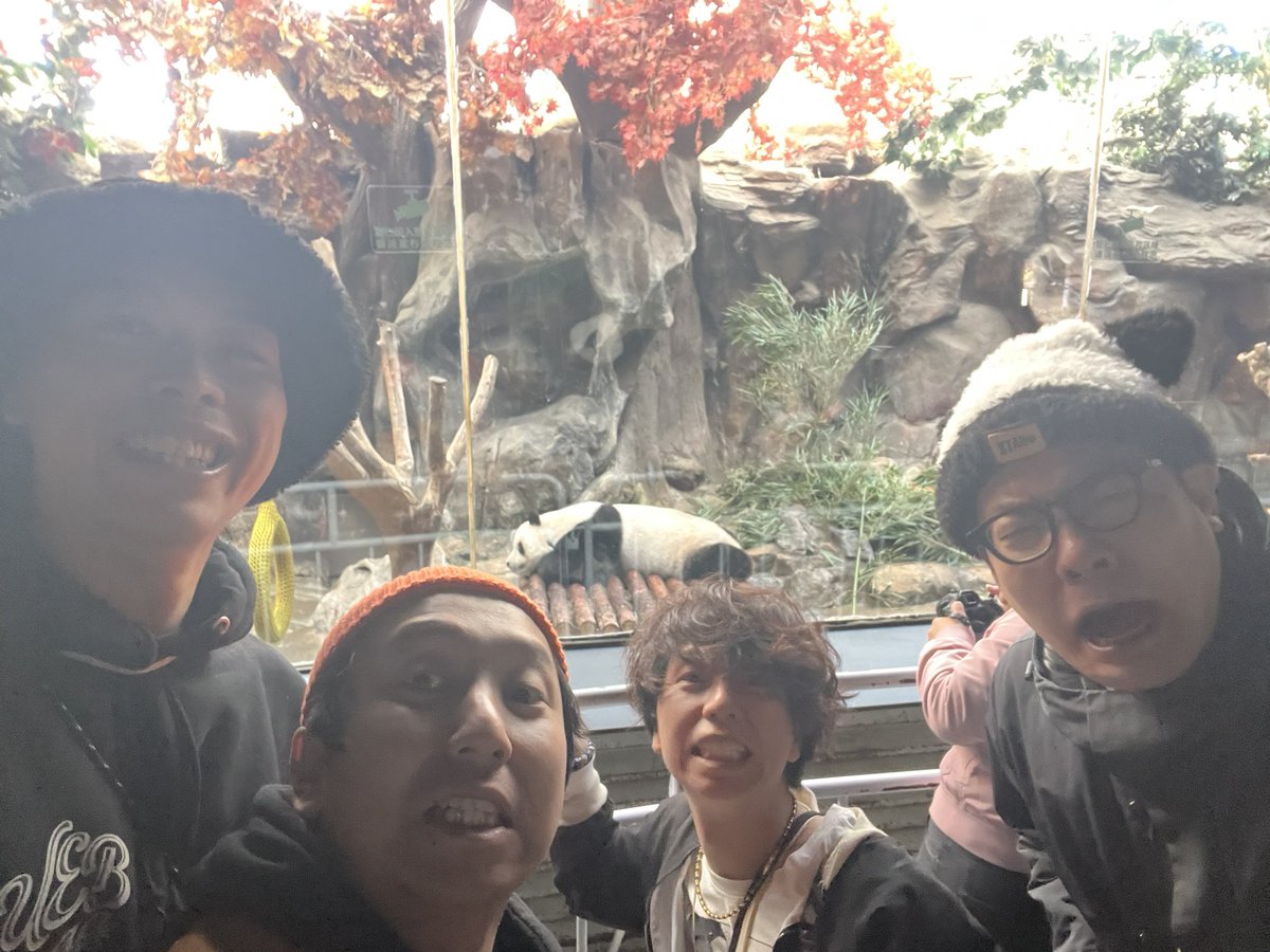 カンフーパンダ\, image size:1200x900