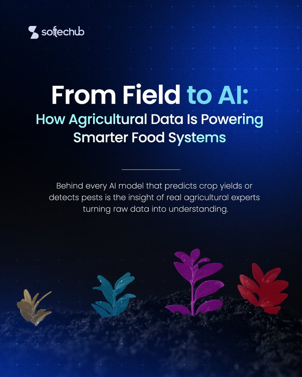 softechubltd's tweet image. Smarter food systems need smarter data, guided by real experts.
Join our SME network: lnkd.in/e6ginaRp
#AIinAgriculture