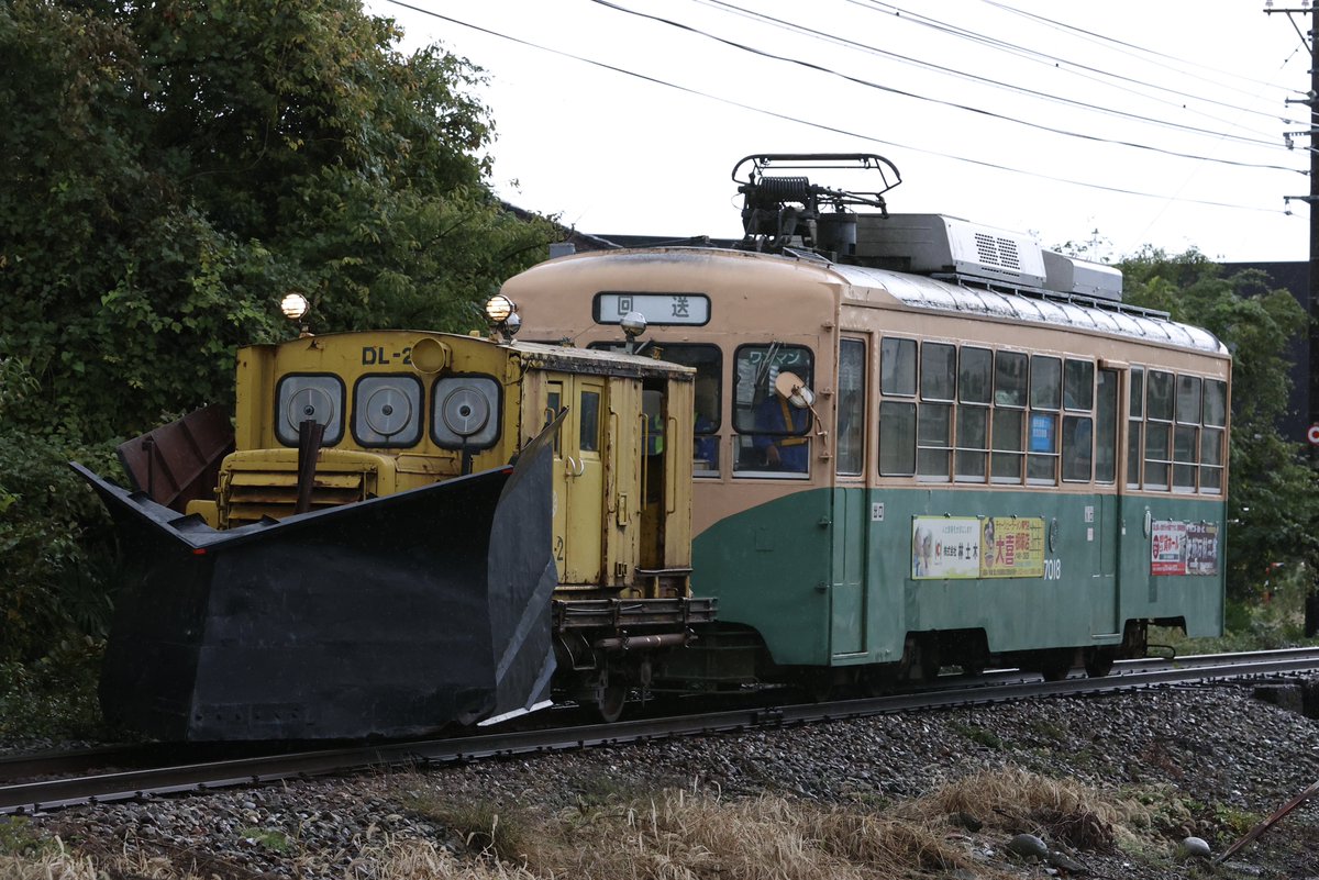 かしわの かわねじ (@kawanezi190) / Posts / X