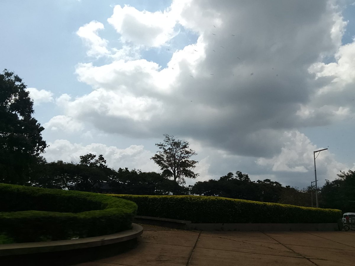 EASYPIPSFX's tweet image. It&apos;s a new day🤗

Punctuality has been so underrated and it has a great impact in an organization.

A survey conducted says that punctuality births 41% to 75% improved efficiency💯

The reason why you are not really productive is because you are not punctual🙂

GM💙