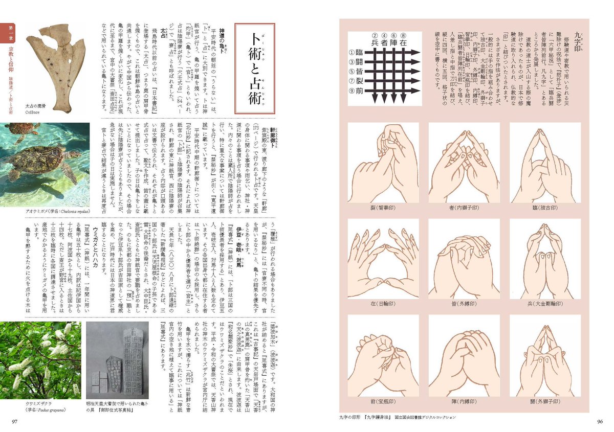 heibonshatoday's tweet photo. 【ものすごい本がでます】
「ヤベェ本」として話題になった『有職装束大全』著者、八條忠基先生の新著が11月27日に発売となります。その名も『呪術と科学の有職故実図鑑』！　平凡社HPでページ見本や内容紹介を掲出しておりますので、ぜひご覧ください。ものすごい本です👀
https://t.co/pA0BWA9zkG https://t.co/Gy79jEwzUl