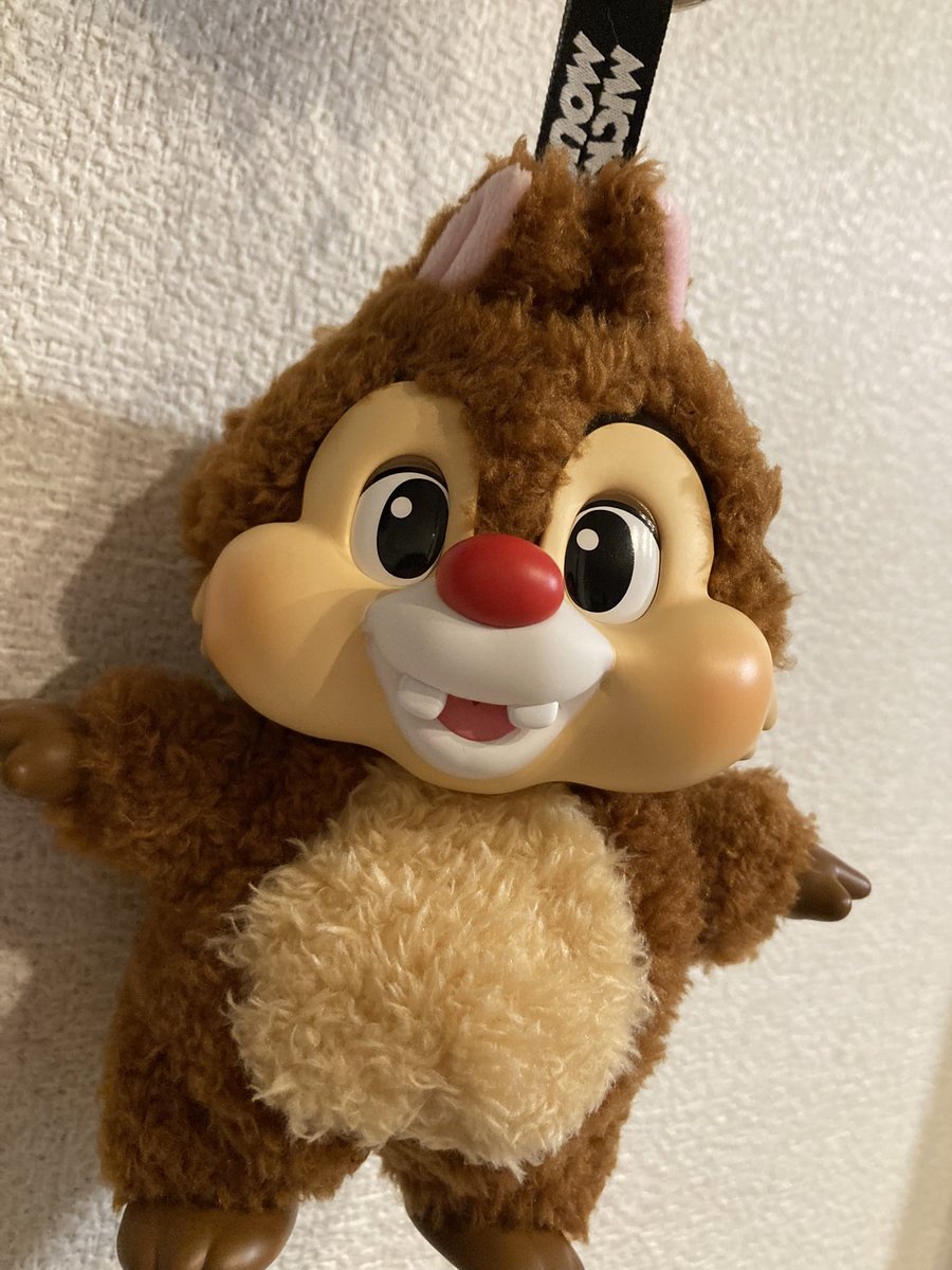 ラブブより可愛いのでわｯｯ？！( ᵒ̴̷͈ᗨᵒ̴̶̷͈ )❤︎