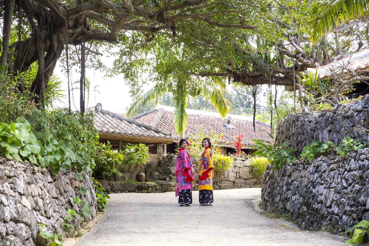 kijimuna_ryukyu's tweet image. こんにちは＾＾沖縄の琉球村です

3年目になる地元割うちなんちゅプラン

利用は簡単、チケット購入前に沖縄在住が
わかる免許書等を提示するだけ٩( &apos;ω&apos; )و

GW・夏休み・お正月いつでも使えます

琉球村は365日営業中＾＾