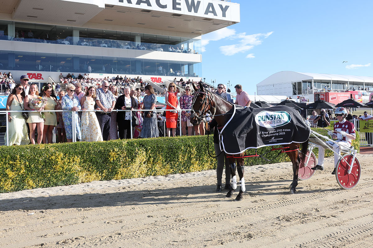 NZ Sires’ Stakes Board tweet media