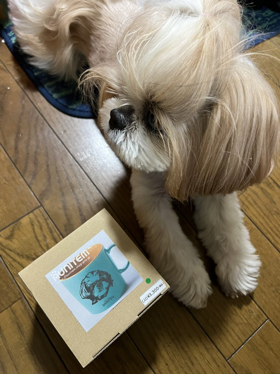 ☆な〜ちん☆ (@Ranmaru0211) / Posts / X