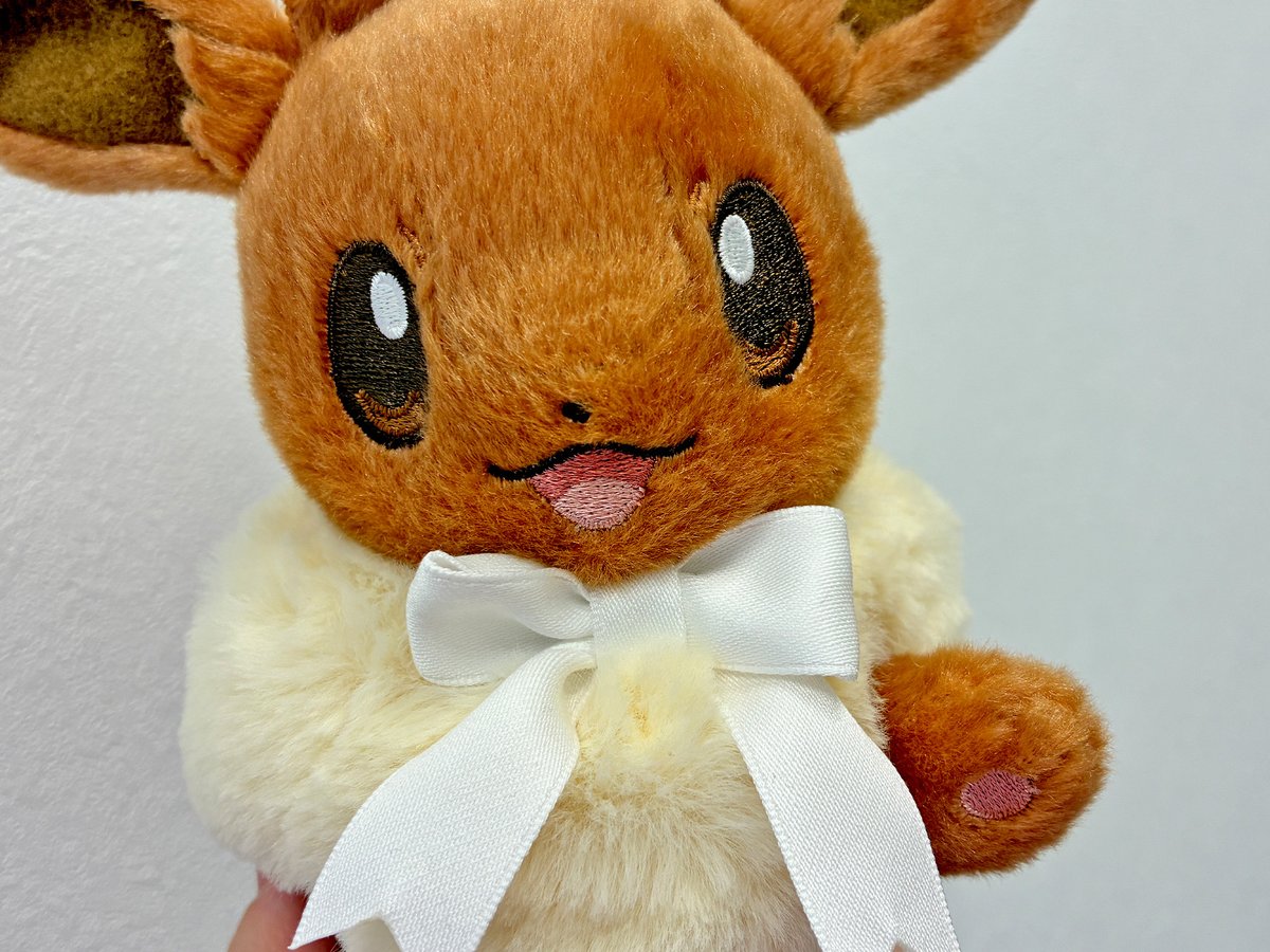 即購入可】カーディガン Eevee Collection イーブイ スウェットと