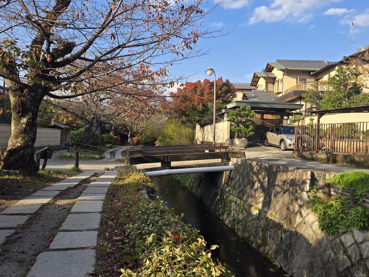 映像的に一番好きな愛さんの橋…😊