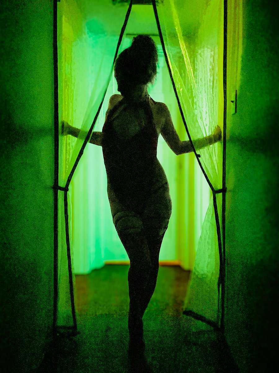 basicallybbush's tweet image. 