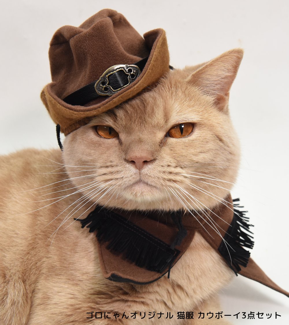 ⑦オーダー用パネル ワンちゃん和服 カウボーイ 小鳥 猫ちゃん