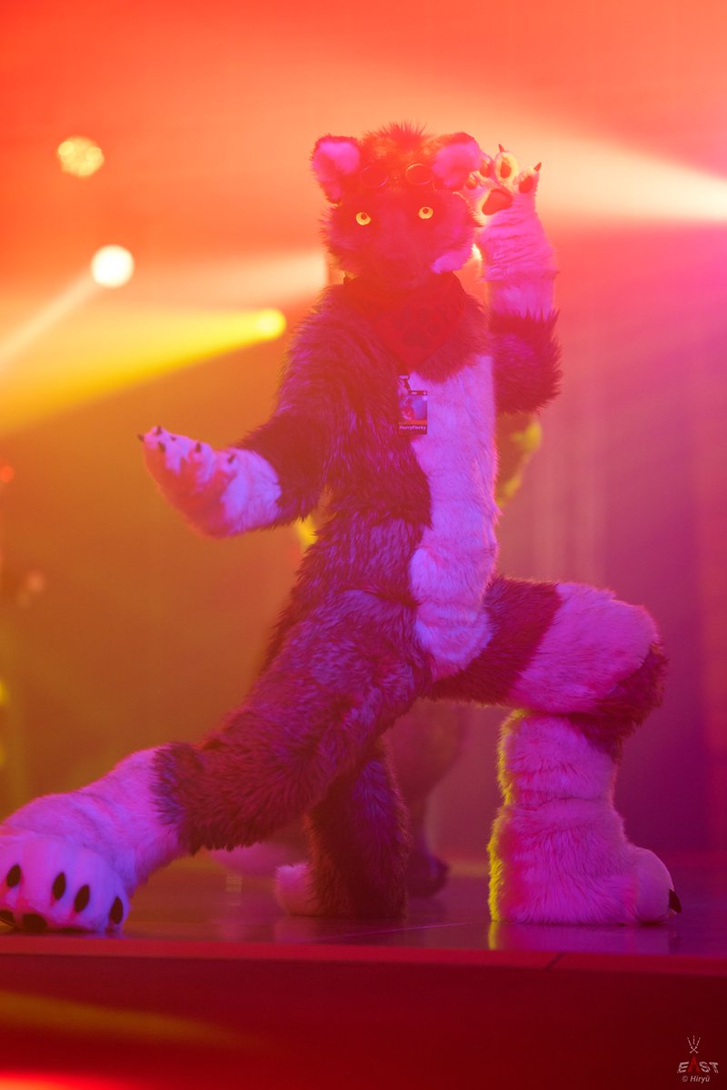 FlurryFlecky 🔜 @NFC, @Furciety tweet media