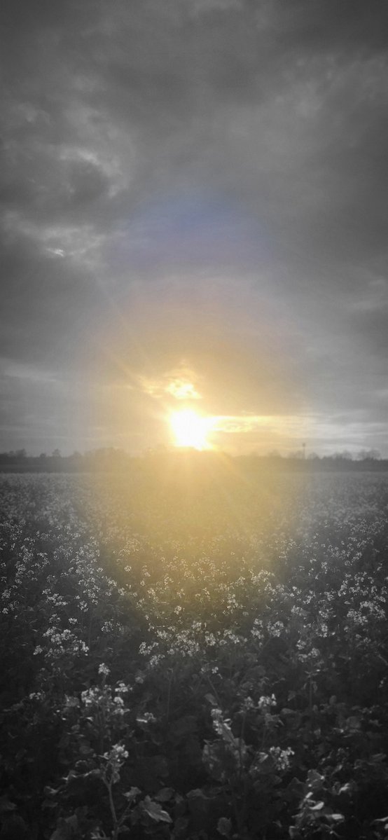 USiebmann's tweet image. Good morning