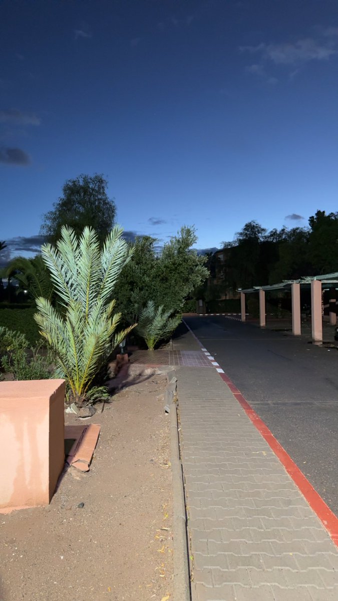 عن ضجيج الناس والمجتمع جاني جفَال
كـنّ ماذولا بـ ناسـي ولا ذي بـ بلـديّ
.
والهـروب احيان نـوع من انـواع النضَال
لاوطت رجلك طريق الضياع السرمديّ
.
َجيت محتاجك وفيني كلامً ما يقال
اتعزز و ارفع الصوت و امشي و اعدّي

حطني في وجه حضنك من صدوف الليال
تايهٍ لا اخطيت من ضمتكُ وين اغدّي ؟