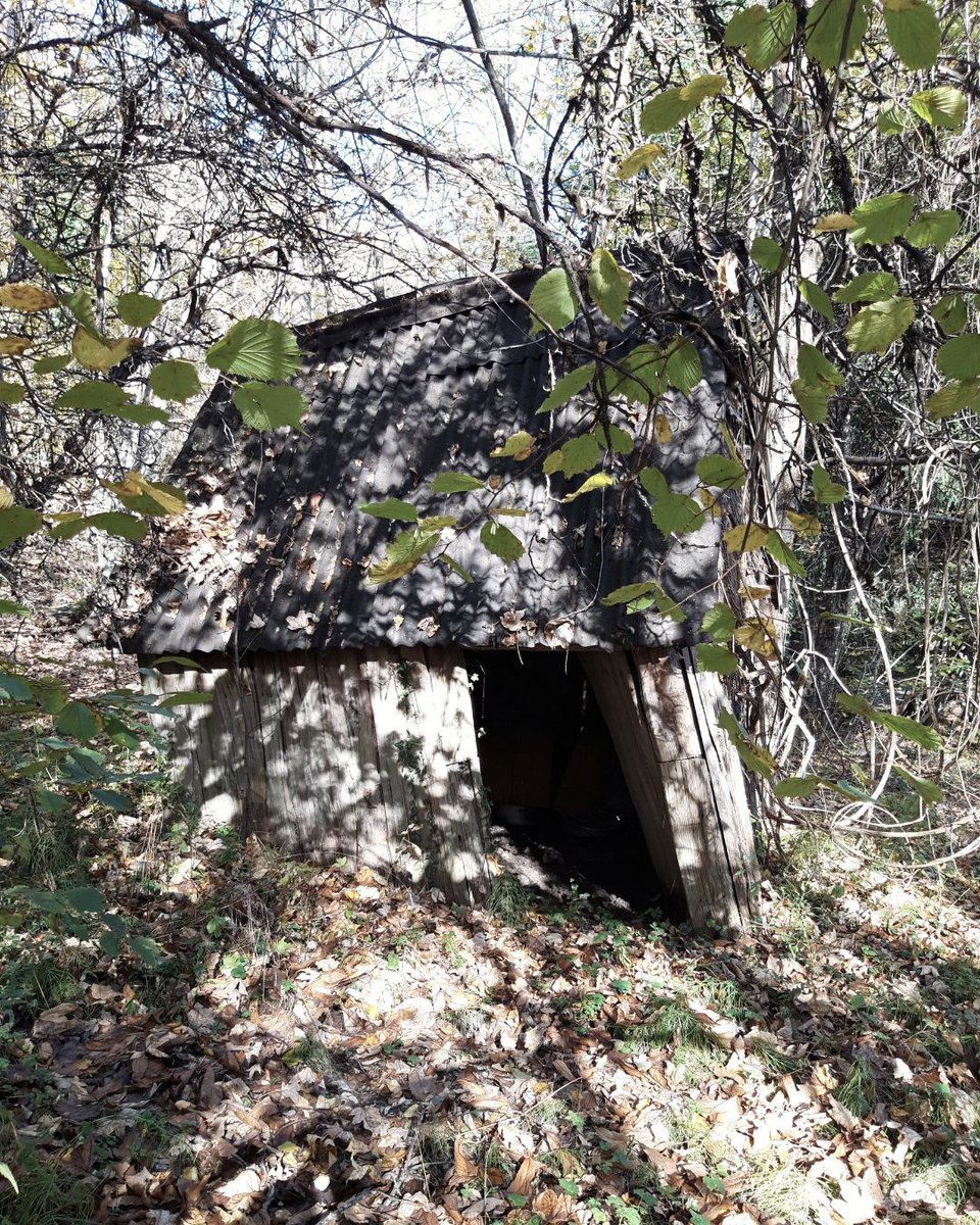 FreyaIngva's tweet image. The quiet corners of #nature speak louder than anything else
If you're looking for #insights I offer #tealeafreading #dowsing #divining to help you understand the #signs that surround you. Message me

#tealeafreader #diviner #dowser #intuitiveguidance #pathfinding