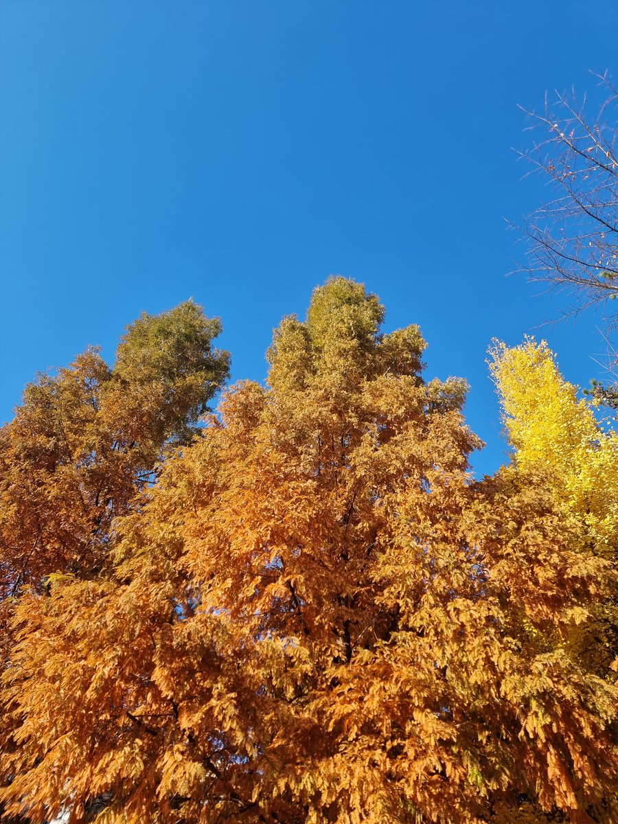 컄컄컄 (@12slyg08) on Twitter photo 