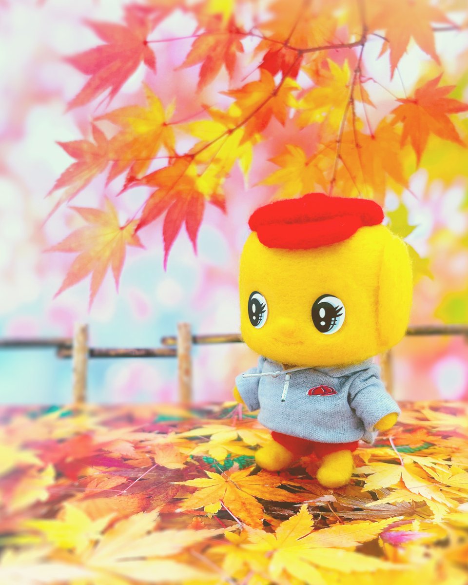 フエキ糊工業株式会社 (@fueki_official) / Posts / X